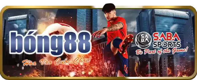 Hệ thống giám sát an ninh cbl88